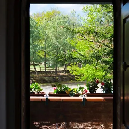 Podere La Miniera Relax & Food Bed & Breakfast *