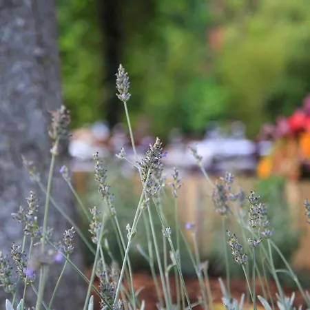 Bed & Breakfast Podere La Miniera Relax & Food
